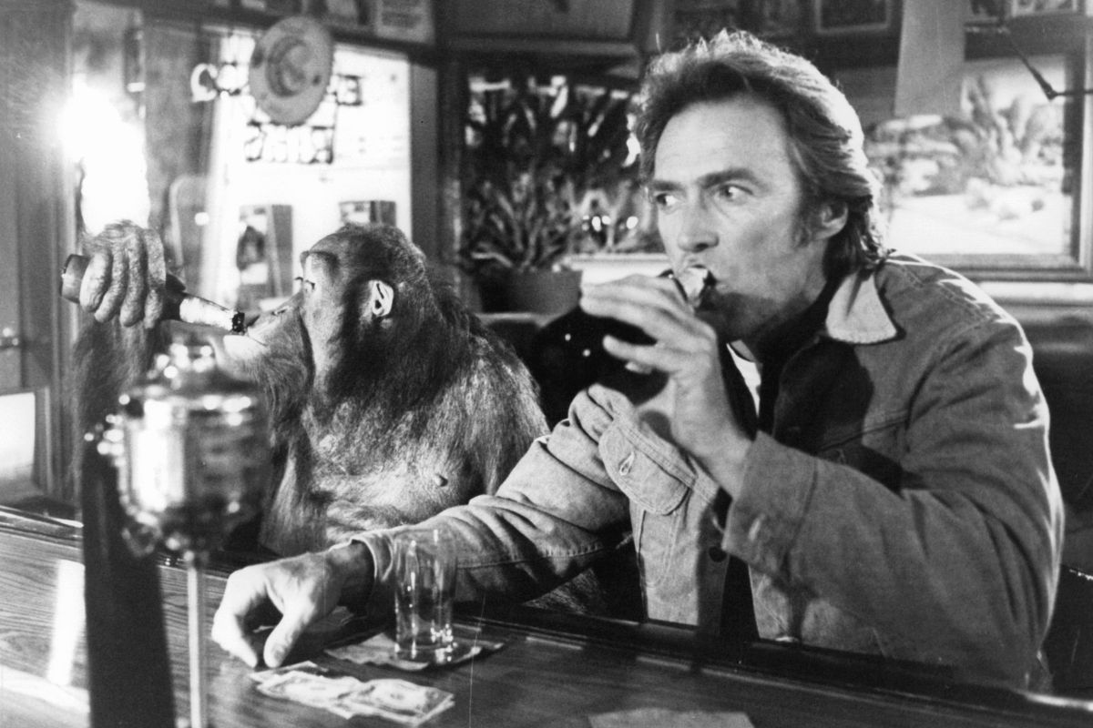 Клинт Иствуд и орангутанг Клайд 1978 фото. Бадди муви